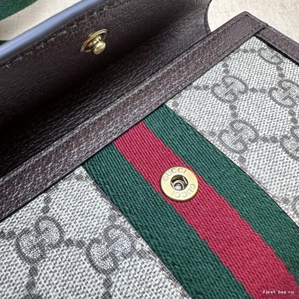 First bag ru bag-20*12.5*9CM Ophidia mini Gucci 0721